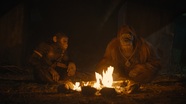 Кадр из фильма Планета обезьян: Новое царство